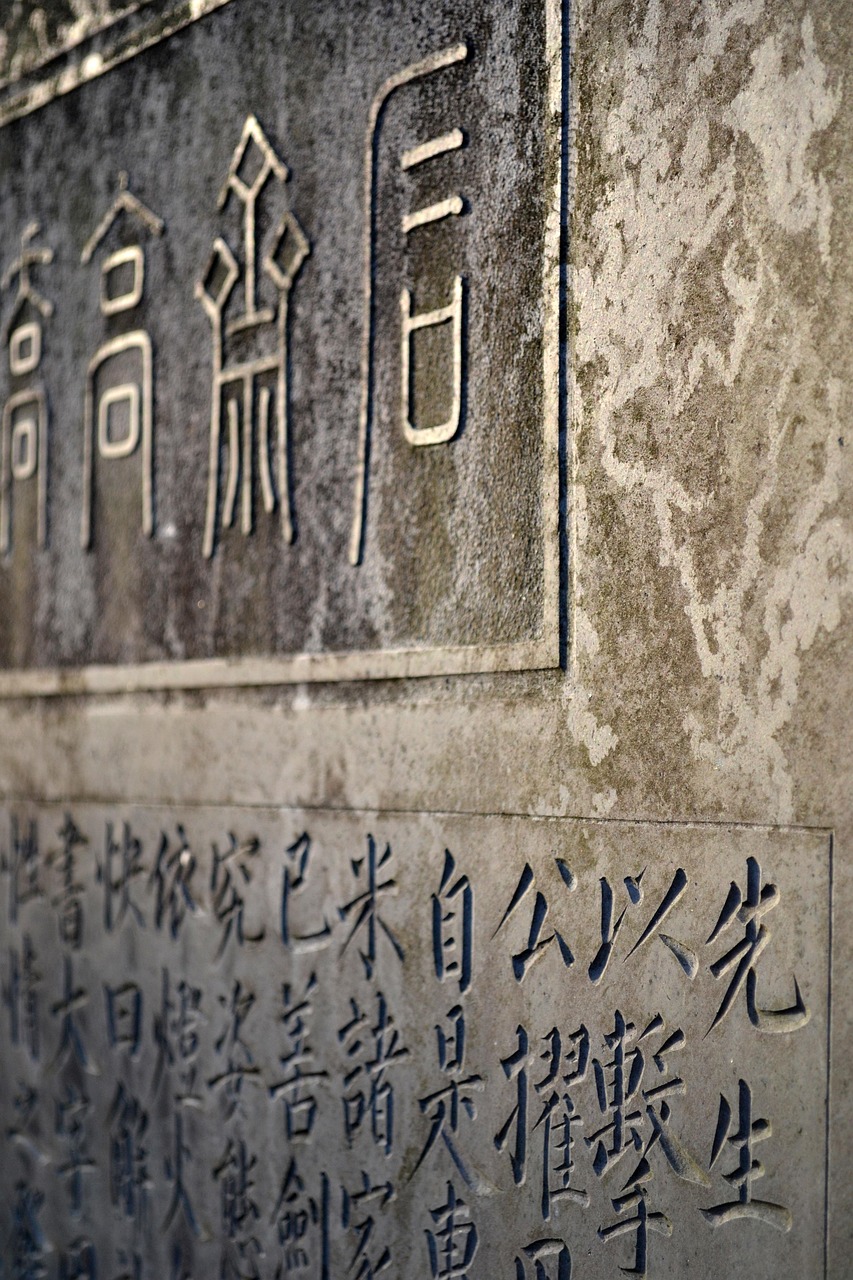 书法传统文化的魅力与传承介绍