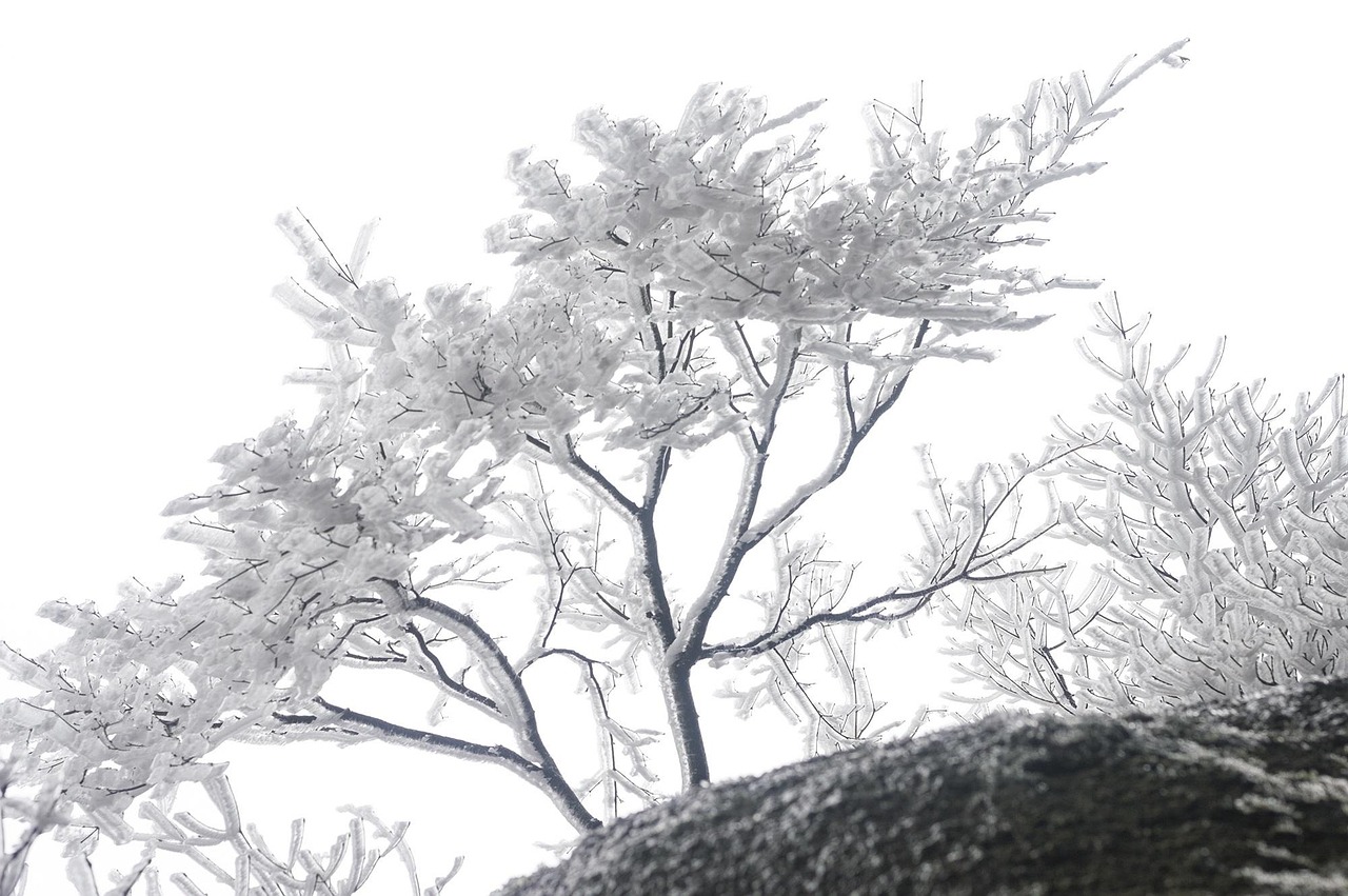 探索中国传统水墨画的魅力，水墨画图片大全大图展示