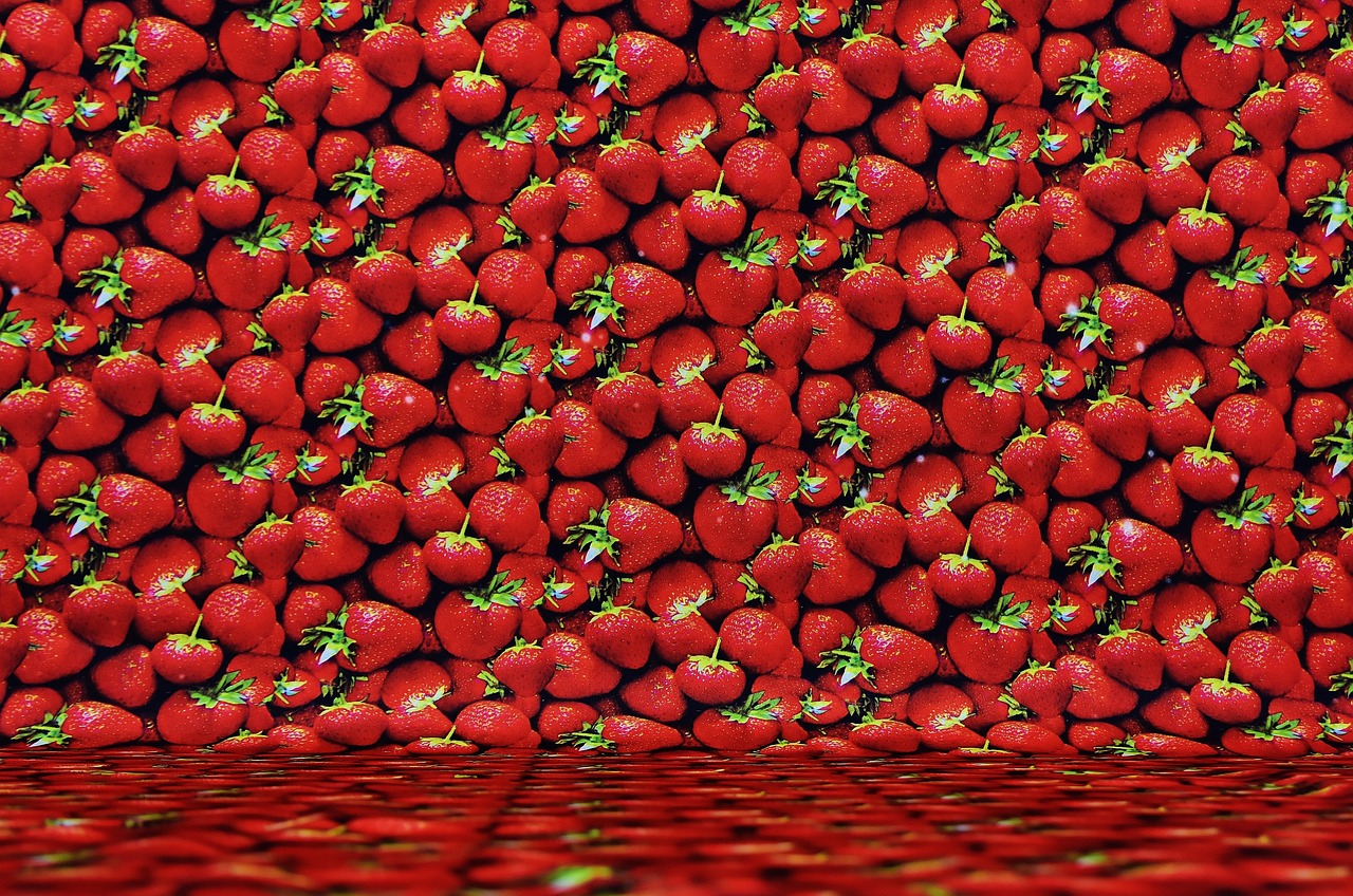 13262.cc,探索与发现，走进数字世界的新门户——1326.cc