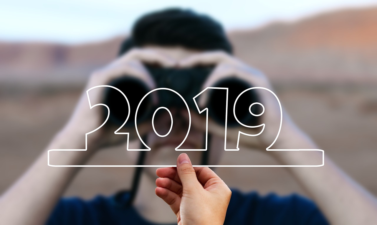 搜2019年全年资料大全,搜2019年全年资料大全，回顾与探索